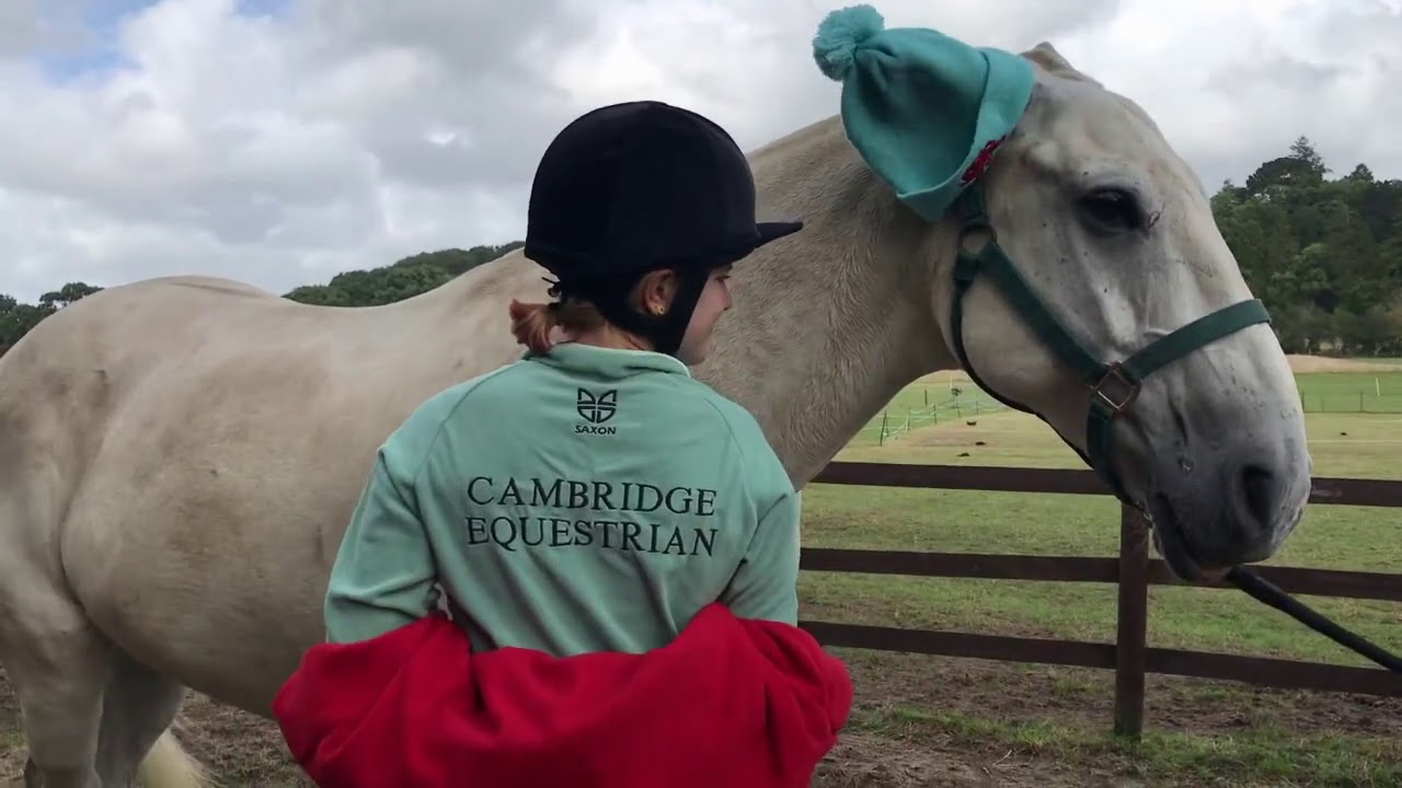 Cambridge Equine Hospital