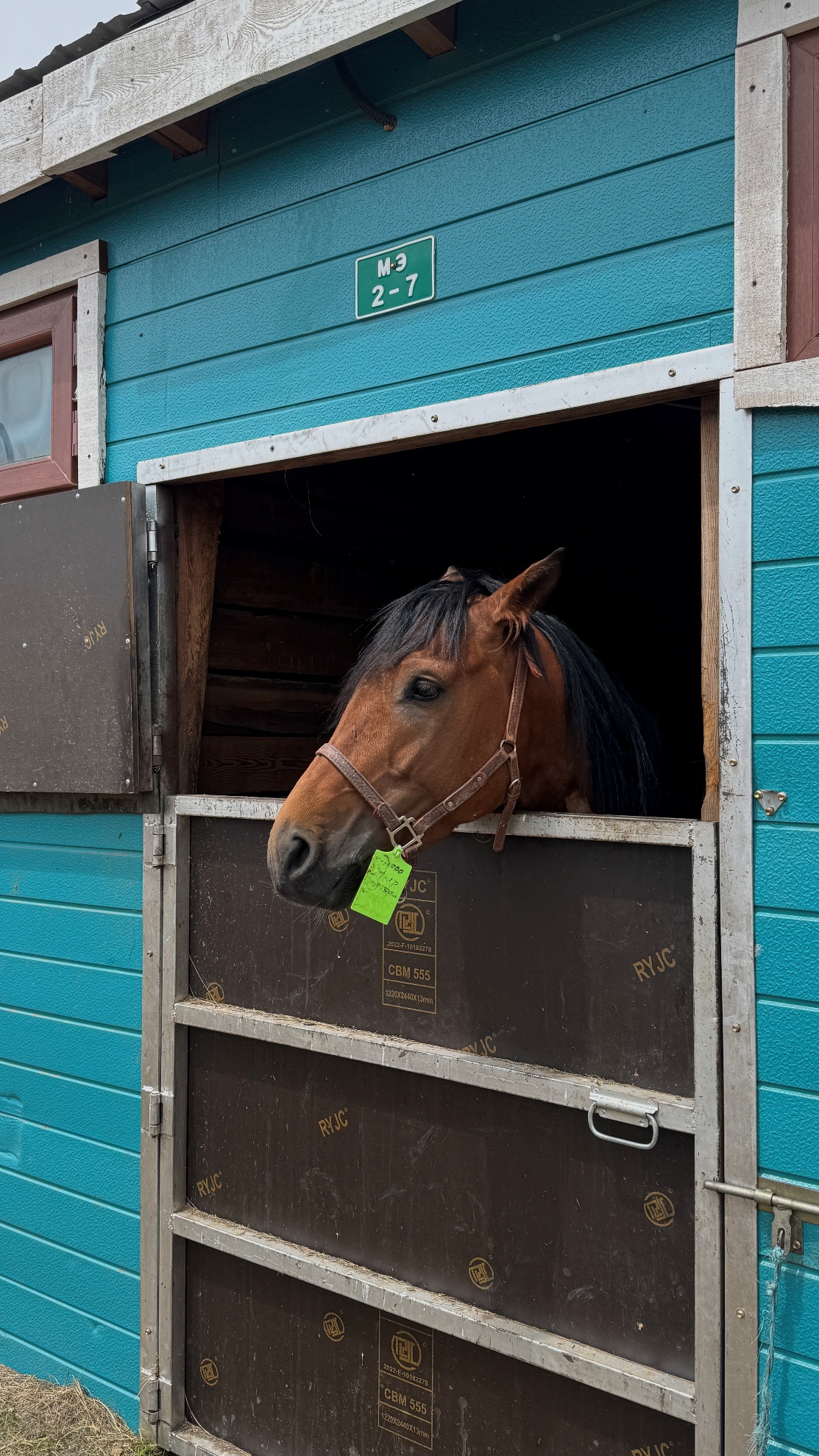 Digital Equine Registry