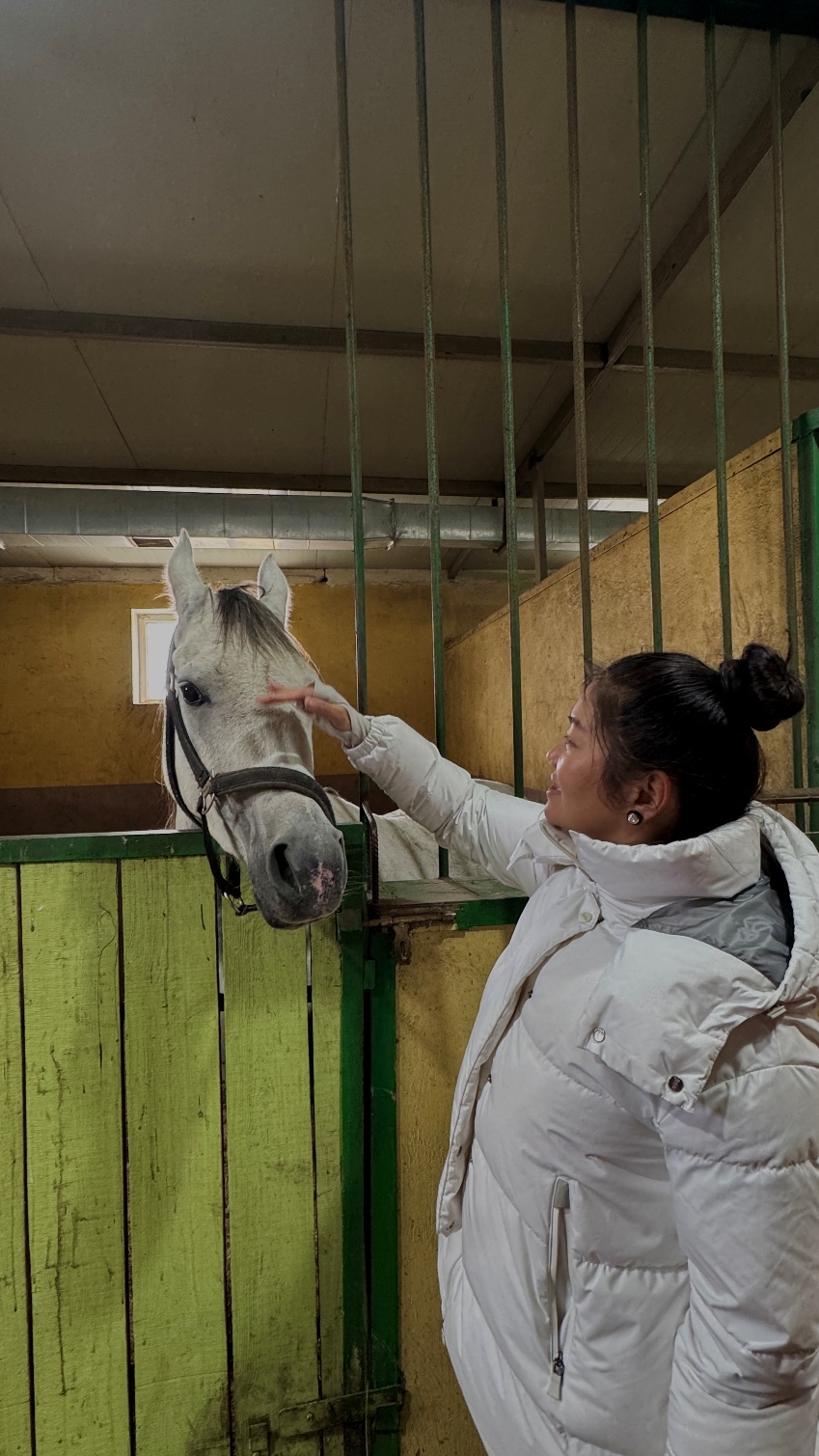 Predictive Analytics in Veterinary Medicine